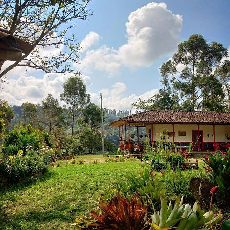 Hostal Rural La Montana Alquiyapura Саленто Екстериор снимка